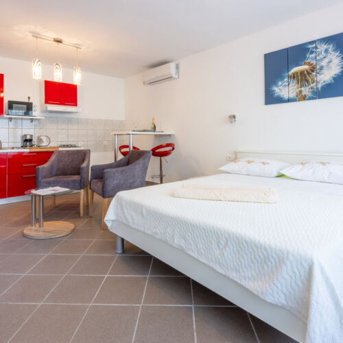 Apartament studio cu 1 camera pentru 2 pers.