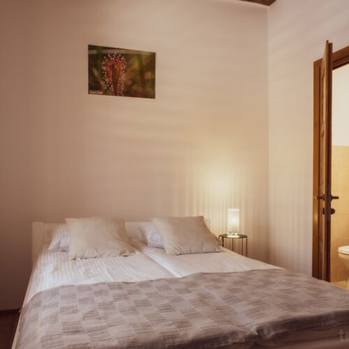 Camera dubla premium la etaj