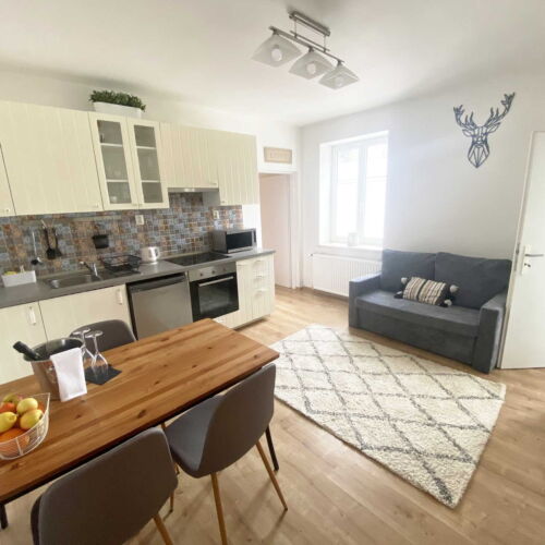 Pokoj se sprchou s privátní koupelnou mimo apartmán pro 2 os. (s možností přistýlky)