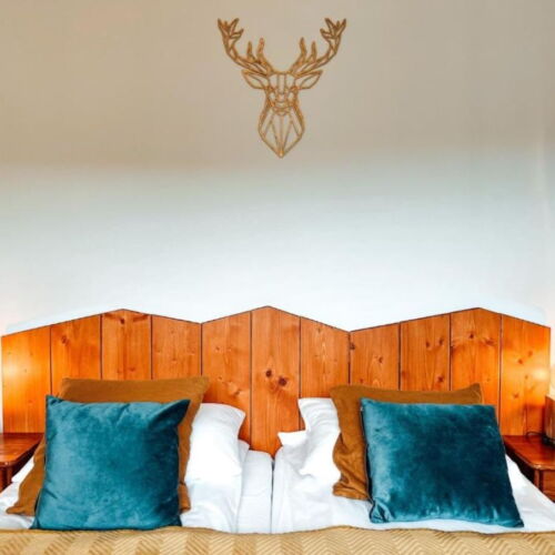 Double Room (extra bed available)