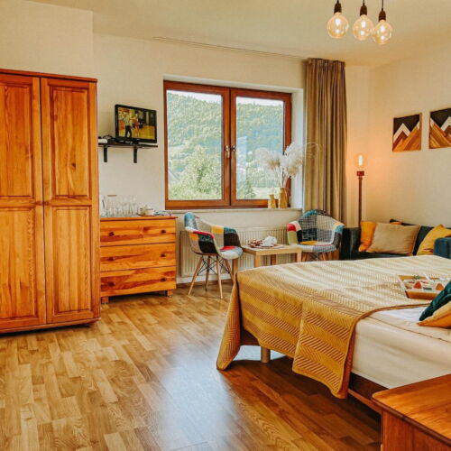 Double Room (extra beds available)