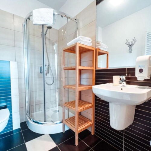 1-Room Apartment for 2 Persons (extra beds available)