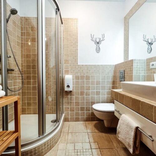 2-Room Apartment for 4 Persons (extra beds available)