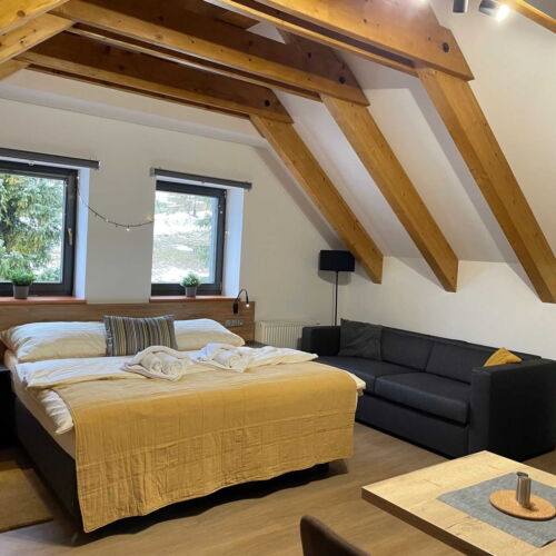 Apartman se sprchou s vlastní kuchyňkou pro 2 os.