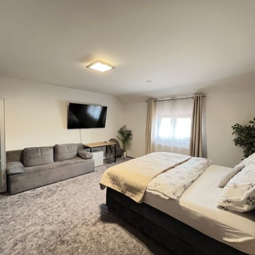 Deluxe 5 Person Room