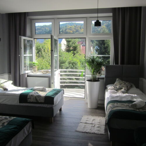 Pokój 3-osobowy Deluxe z widokiem na góry