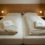 Dvoulůžkový apartmán Standard s manželskou postelí Rulandské šedé