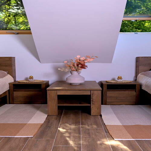 Upstairs Twin Room