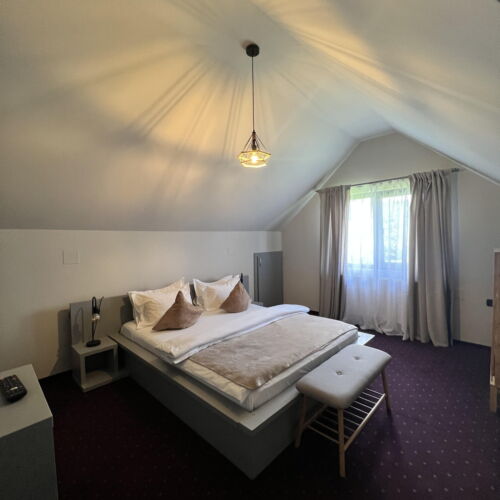 Camera dubla standard