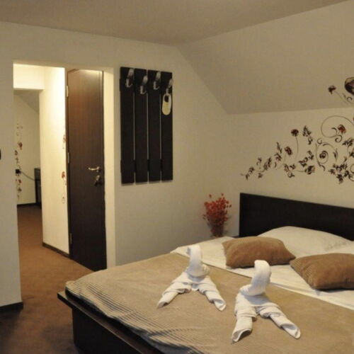 Camera dubla mansardă