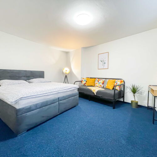 Pokoj se sprchou  pro 3 os.