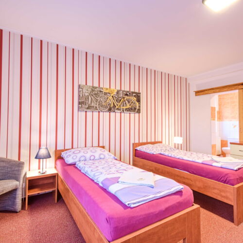 Camera tripla cu duș