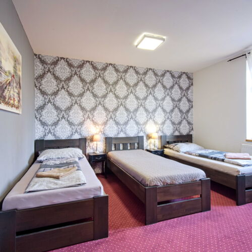 Camera tripla cu duș