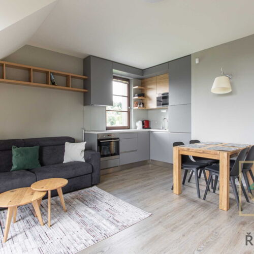 Superior Apartman se sprchou s manželskou postelí s 1 ložnicí (s možností přistýlky)