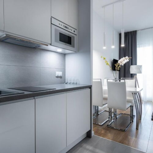 Apartament 2-osobowy Studio z 1 pomieszczeniem sypialnianym