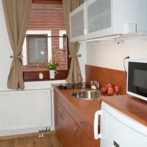 Apartman se sprchou  pro 5 os.