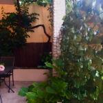 1-Room Air Conditioned Apartment for 4 Persons with Terrace A-20094-b