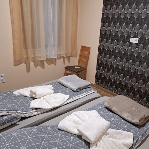 Camera twin cu grup sanitar cu aer conditionat (se poate solicita pat suplimentar)