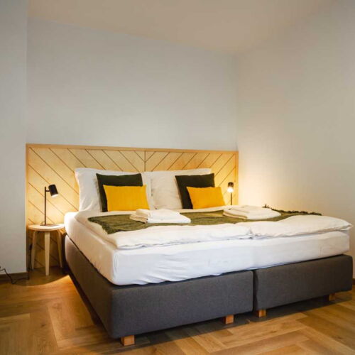 Deluxe Apartman se sprchou pro 2 os. (s možností přistýlky)