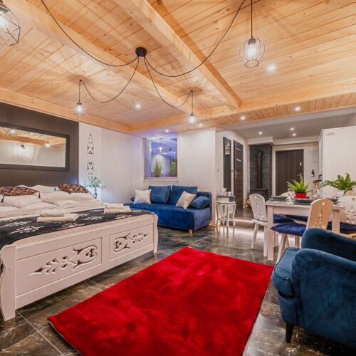 Apartament 4-osobowy Studio z widokiem na góry z 1 pomieszczeniem sypialnianym