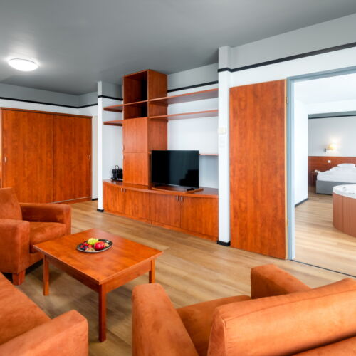 Pokój 3-osobowy Apartament prezydencki (sypialnia+salon+jacuzzi) (Skrzydło zachodnie)