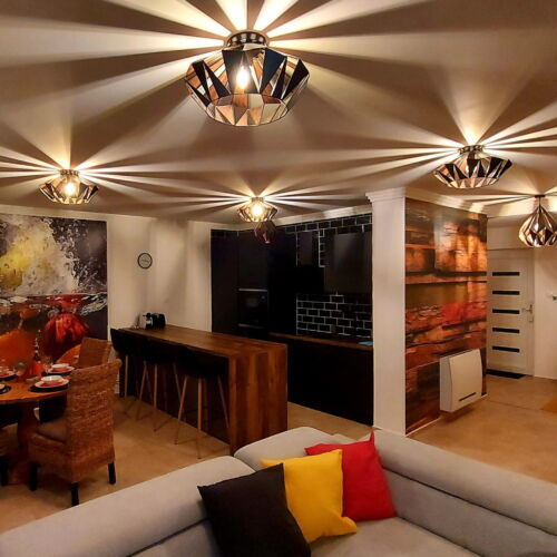 Premium Rodinný Apartman (jako celek) pro 6 os.