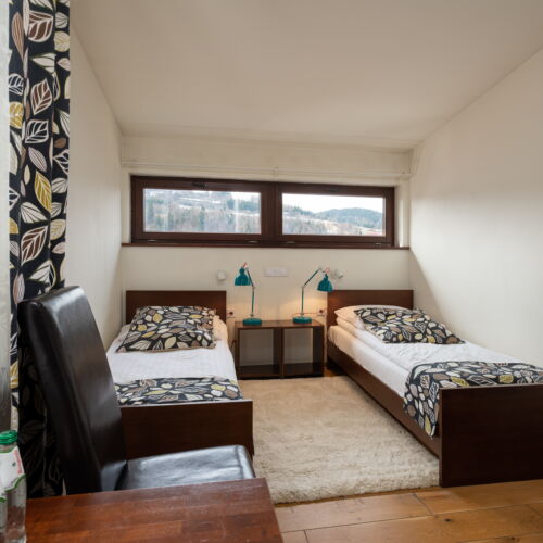 Standard Mountain View Twin Room