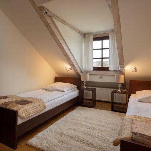 Standard Mountain View Twin Room