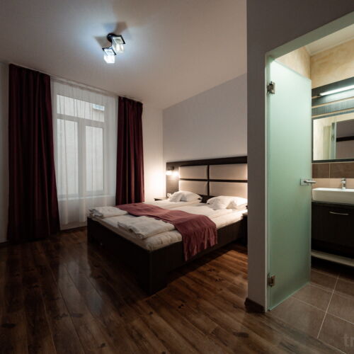 Camera dubla standard