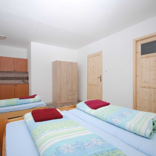 Pokoj se sprchou s vlastní kuchyňkou pro 3 os. (s možností přistýlky)