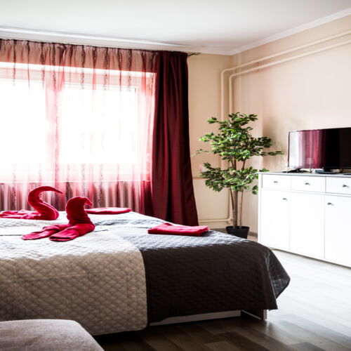 Apartament la parter cu aer condiționat cu 2 camere pentru 4 pers. (se poate solicita pat suplimentar)