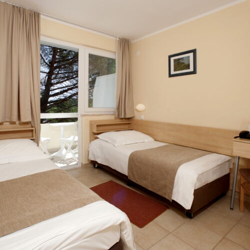 Camera twin classic cu balcon