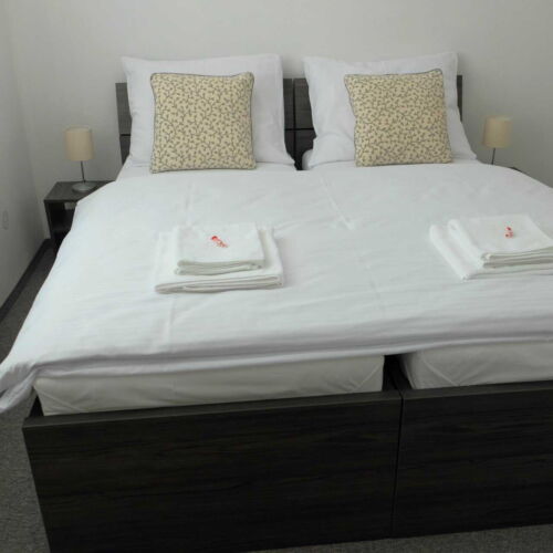 Standard Twin Room with Shower