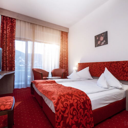 Camera dubla corp Vitalis