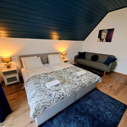 Camera dubla cu terasă lângă piscină (se poate solicita pat suplimentar)