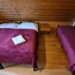 Komfort Zweibettzimmer mit Dusche (Zusatzbett möglich)
