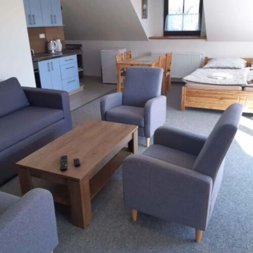 Apartament 2-osobowy z prysznicem z aneksem kuchennym z 1 pomieszczeniem sypialnianym (możliwa dostawka)