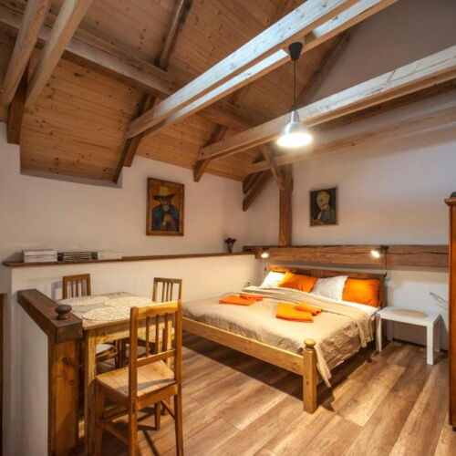 Pokoj se sprchou s terasou pro 3 os. (s možností přistýlky)