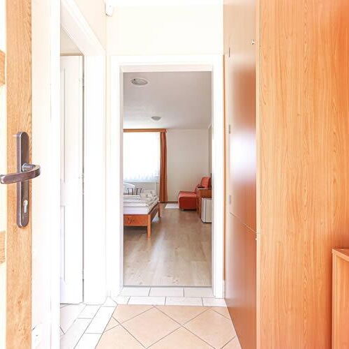 Pokoj se sprchou  s manželskou postelí (s možností přistýlky)