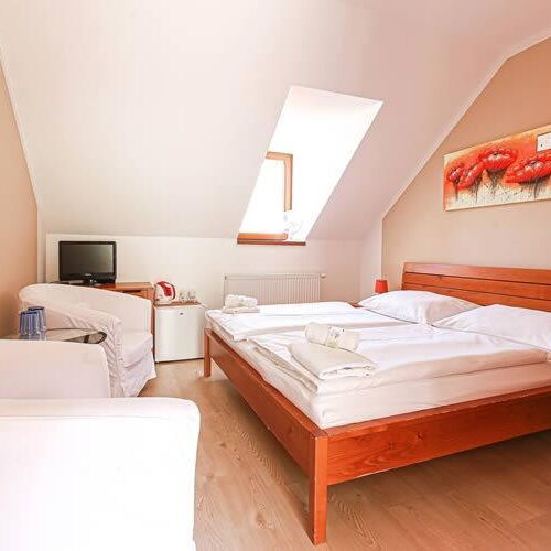 Pokoj se sprchou  s manželskou postelí