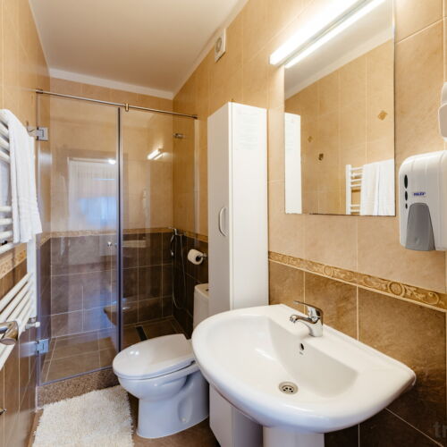 Prizemni Sa kupaonicom soba sa francuskim krevetom (za 2 osoba(e))