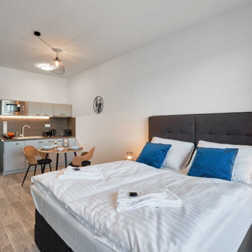 Apartament cu 1 camera pentru 2 pers.