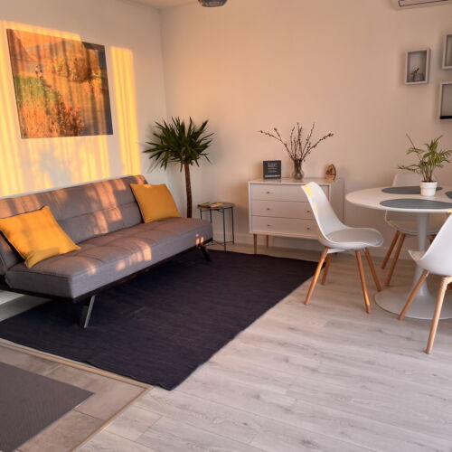 Panoramic Ground Floor 1-Room Apartment for 2 Persons (extra bed available)