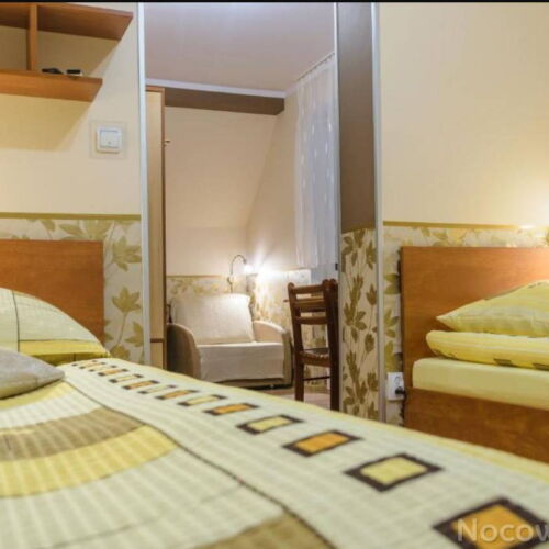 Camera twin cu duș cu grădină