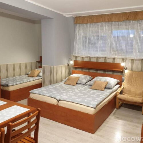 Camera cvadrupla cu duș cu grădină