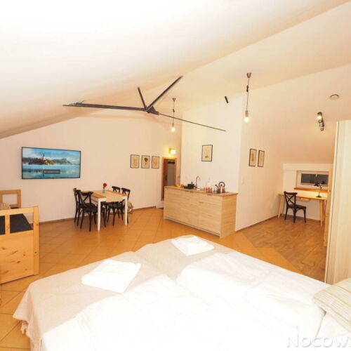 Camera familial(ă) cu vedere spre pădure pentru 6 pers.