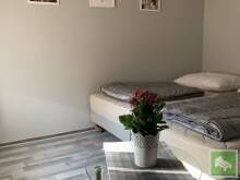 Camera twin la etaj cu vedere spre gradina