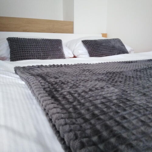 Apartament 4-osobowy z klimatyzacją z prysznicem z 1 pomieszczeniem sypialnianym