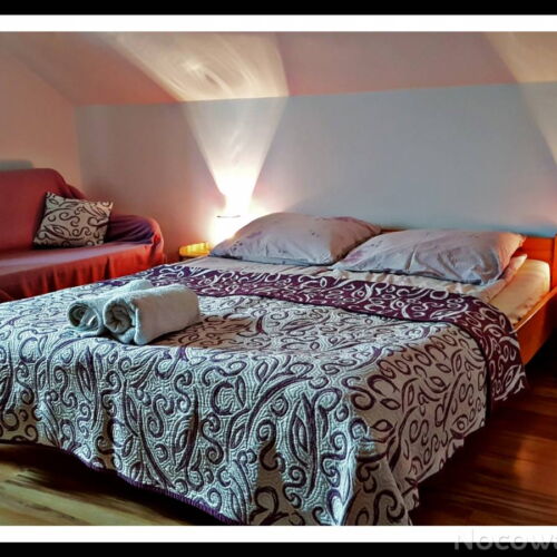 Camera dubla cu duș cu grădină