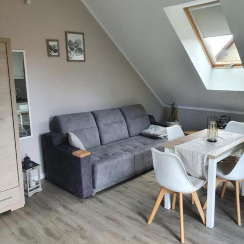 Apartament 4-osobowy z prysznicem